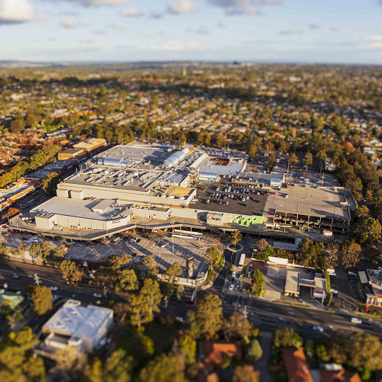 Melbourne Forest